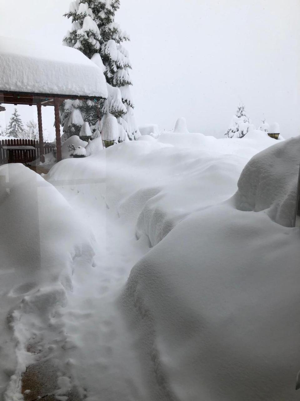 Allgau Landhotel Oberreute Exteriör bild
