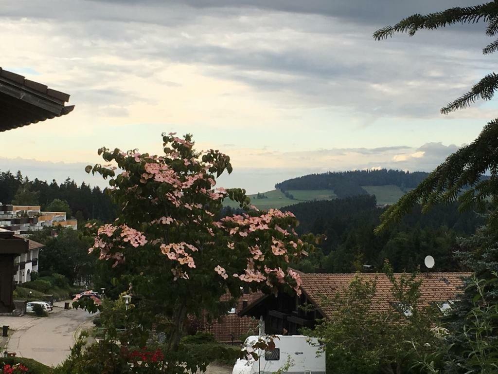 Allgau Landhotel Oberreute Exteriör bild